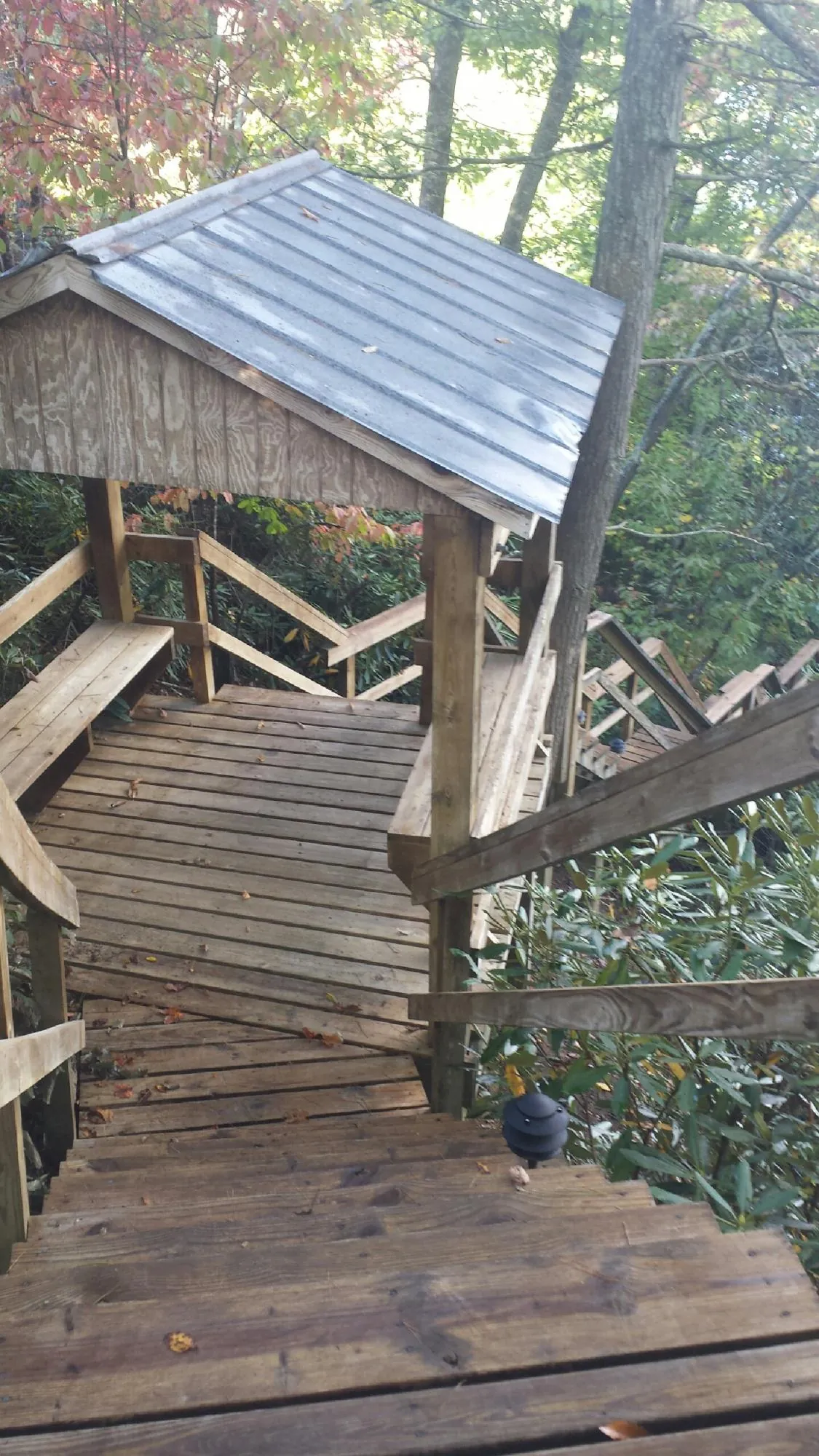 Metal roofed shelter over wooden steps on a wooded walkway — Skylight Repair & Installation work by our crew in Newbern
